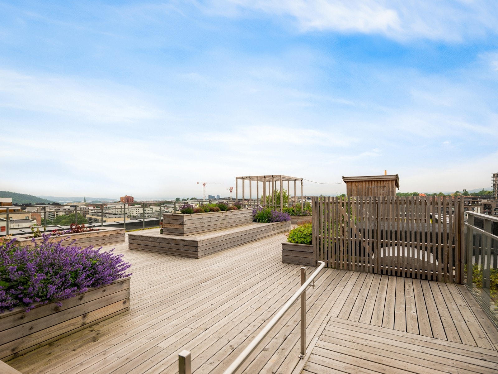 Felles takterrasse. Galleribilde