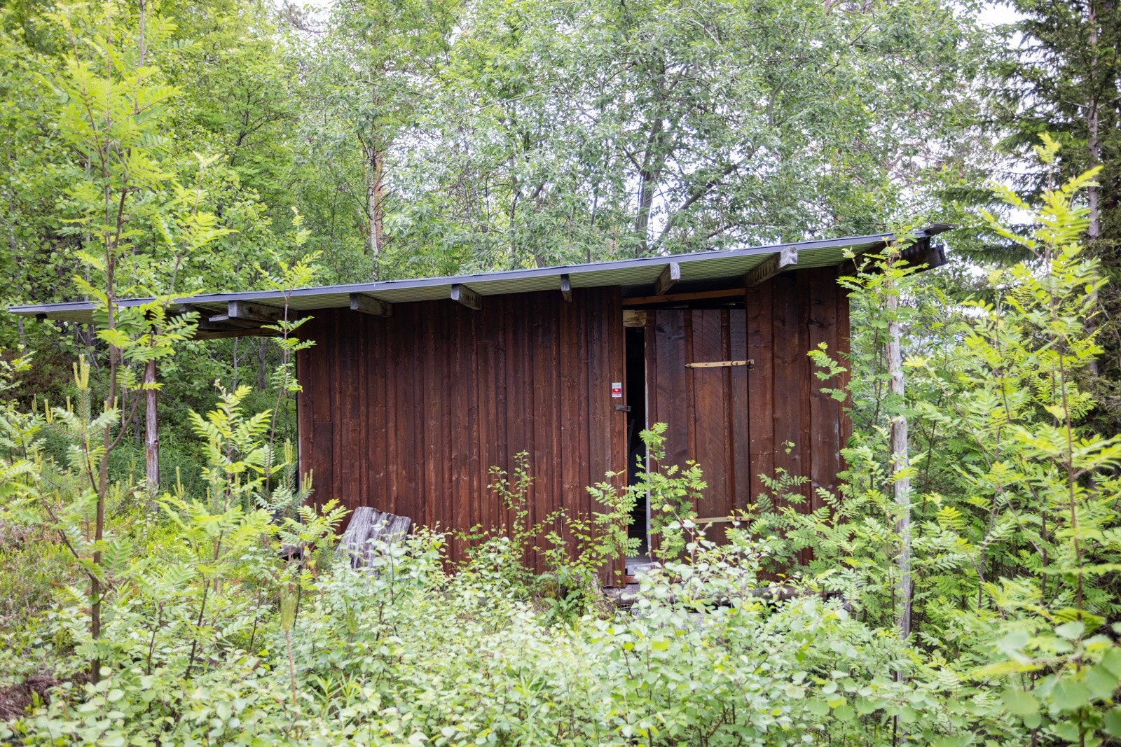 Bod på østsiden Galleribilde