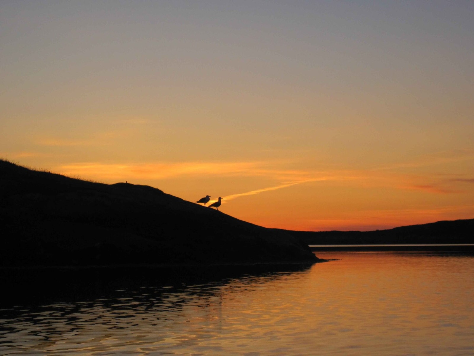 Vakkert! Galleribilde