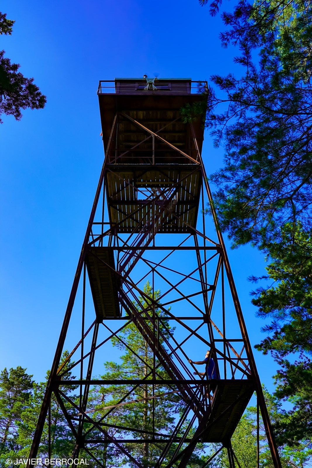 Elgheia Galleribilde