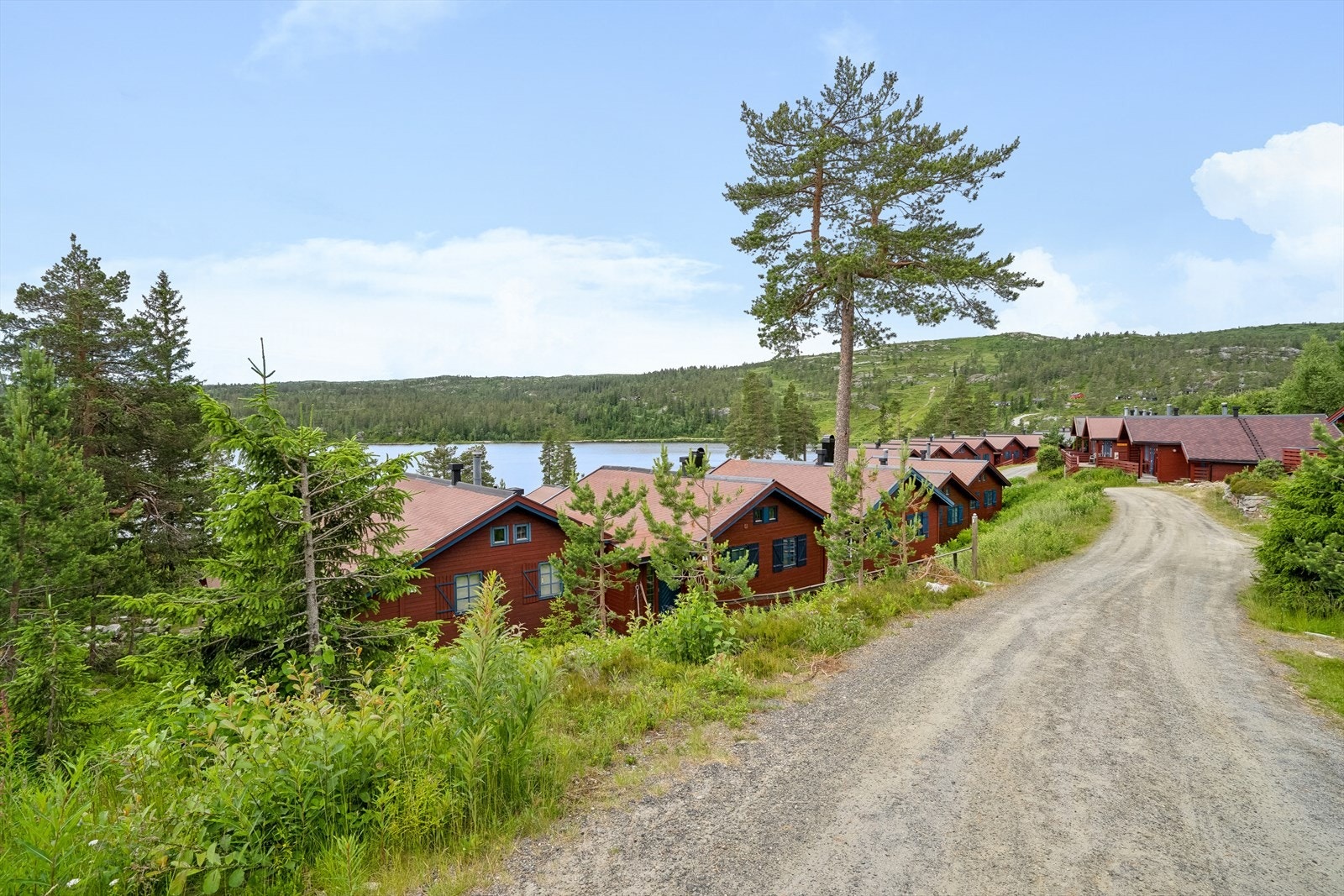 Velkommen til ditt nye hyttenabolag, her er det bilvei helt frem til hytta for av- og pålessing Galleribilde
