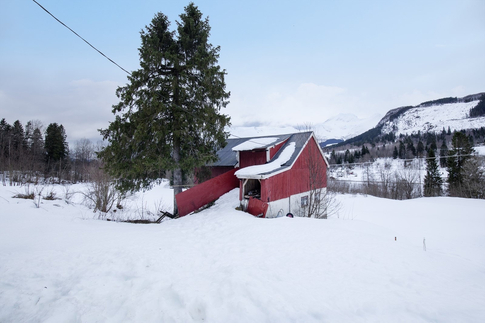 Et småbruk med fjøs/løde og jakt- og fiskerett Galleribilde