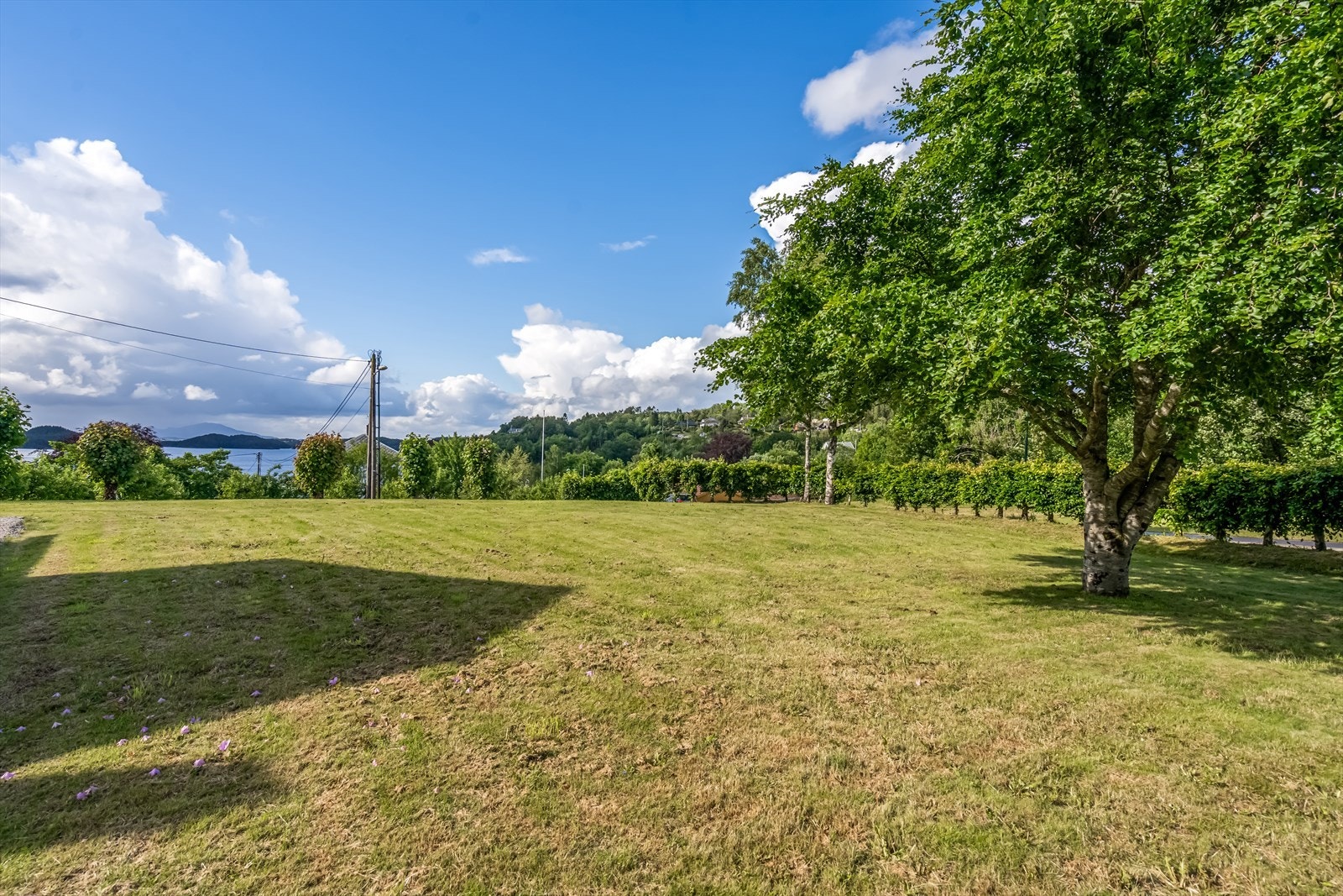 objpict_6700149011229_0.jpg Galleribilde