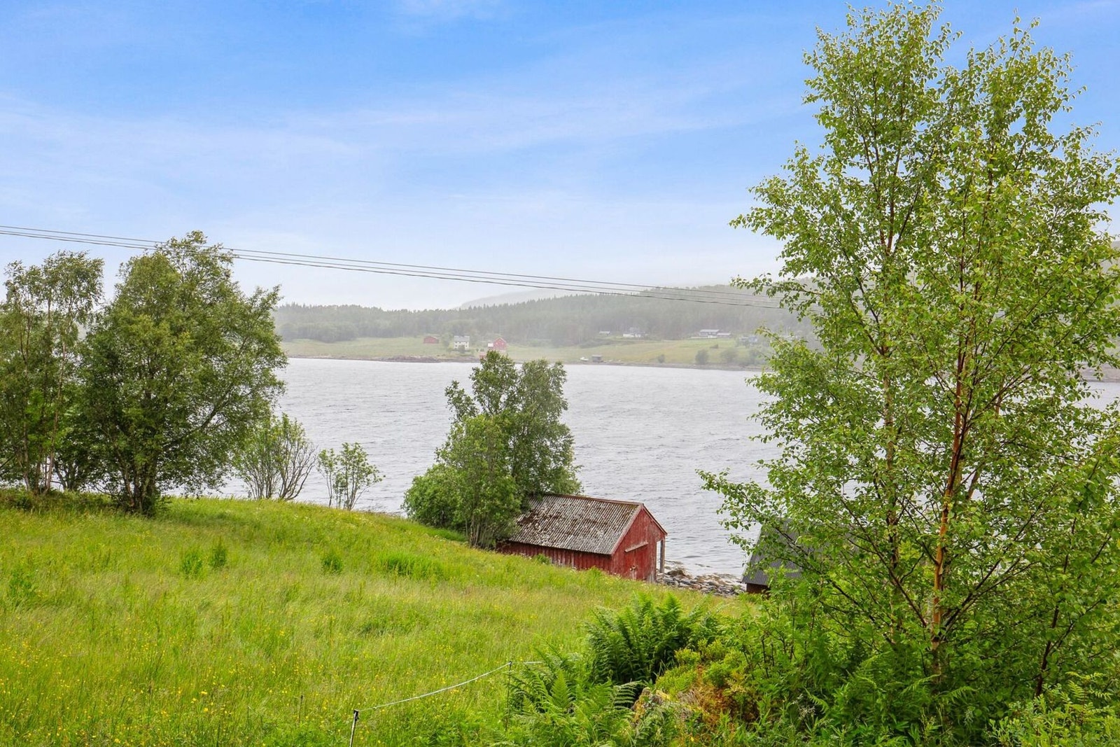 Områdebilde Galleribilde