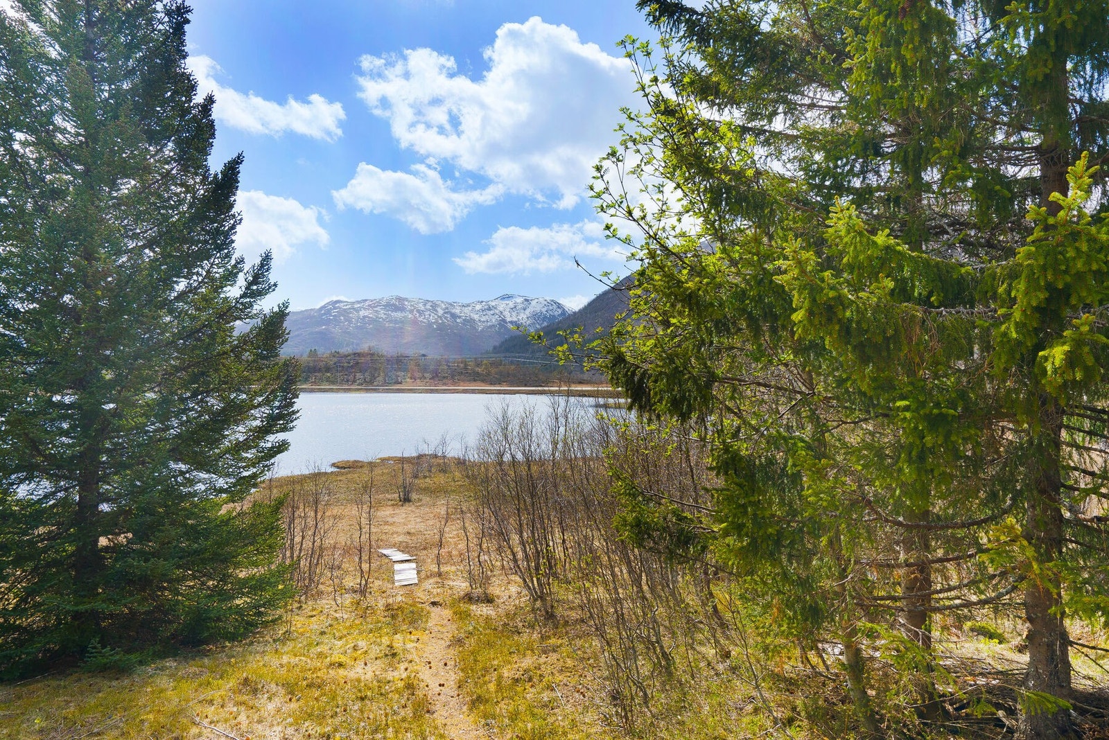 Gå en tur på stien for et morgenbad ? Galleribilde