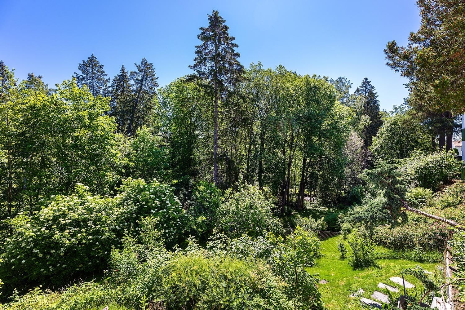 Utsikt fra terrassen Galleribilde