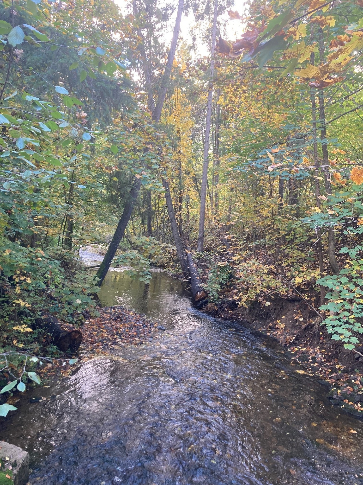 Trivelige omgivelser Galleribilde