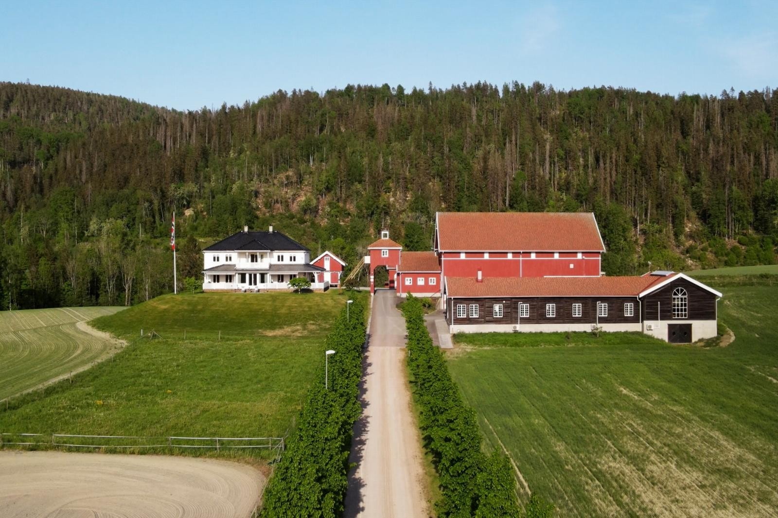 Gårdsveien opp til gården er beplantet med en flott Lindealle med 28 trær. Her er det også belysning. Galleribilde