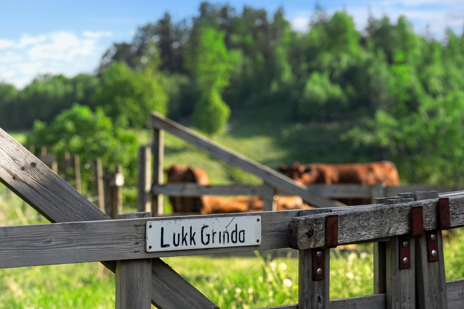 Idylliske omgivelser på Skalpe gård. Her er det et sus fra gamle dager. Galleribilde