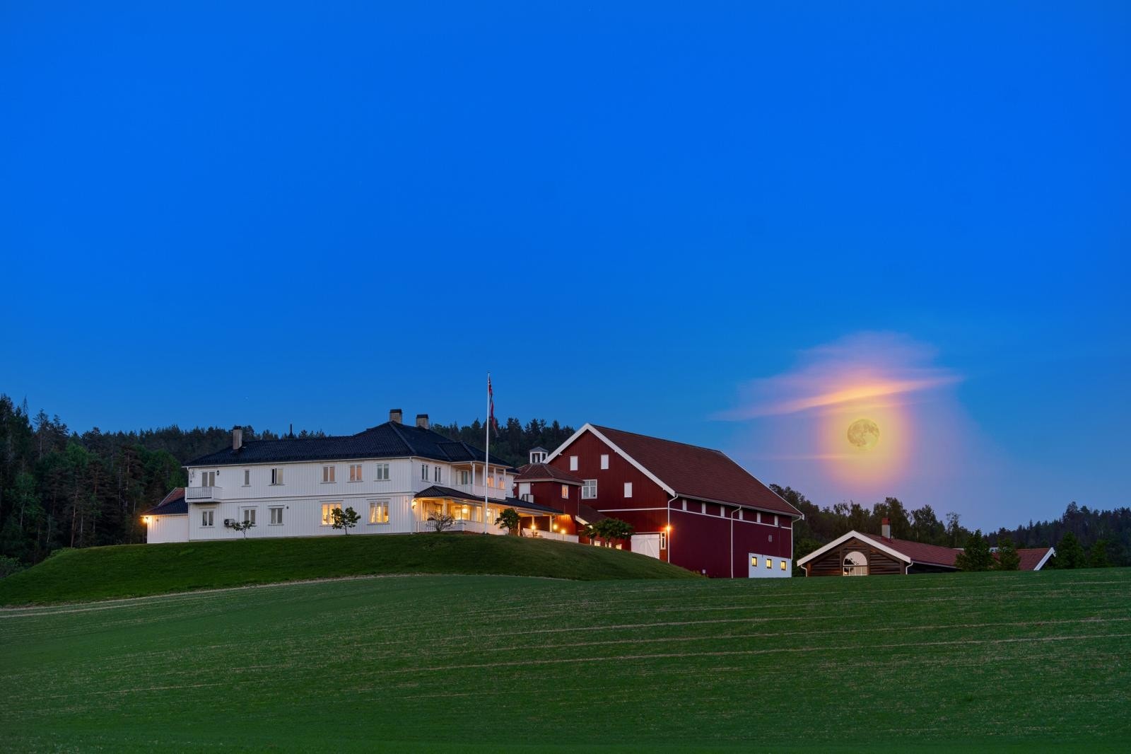 Eiendommen ligger på en høyde grensende til skogen med fantastisk utsikt ut over Skogerbygden og mot Drammen. Galleribilde