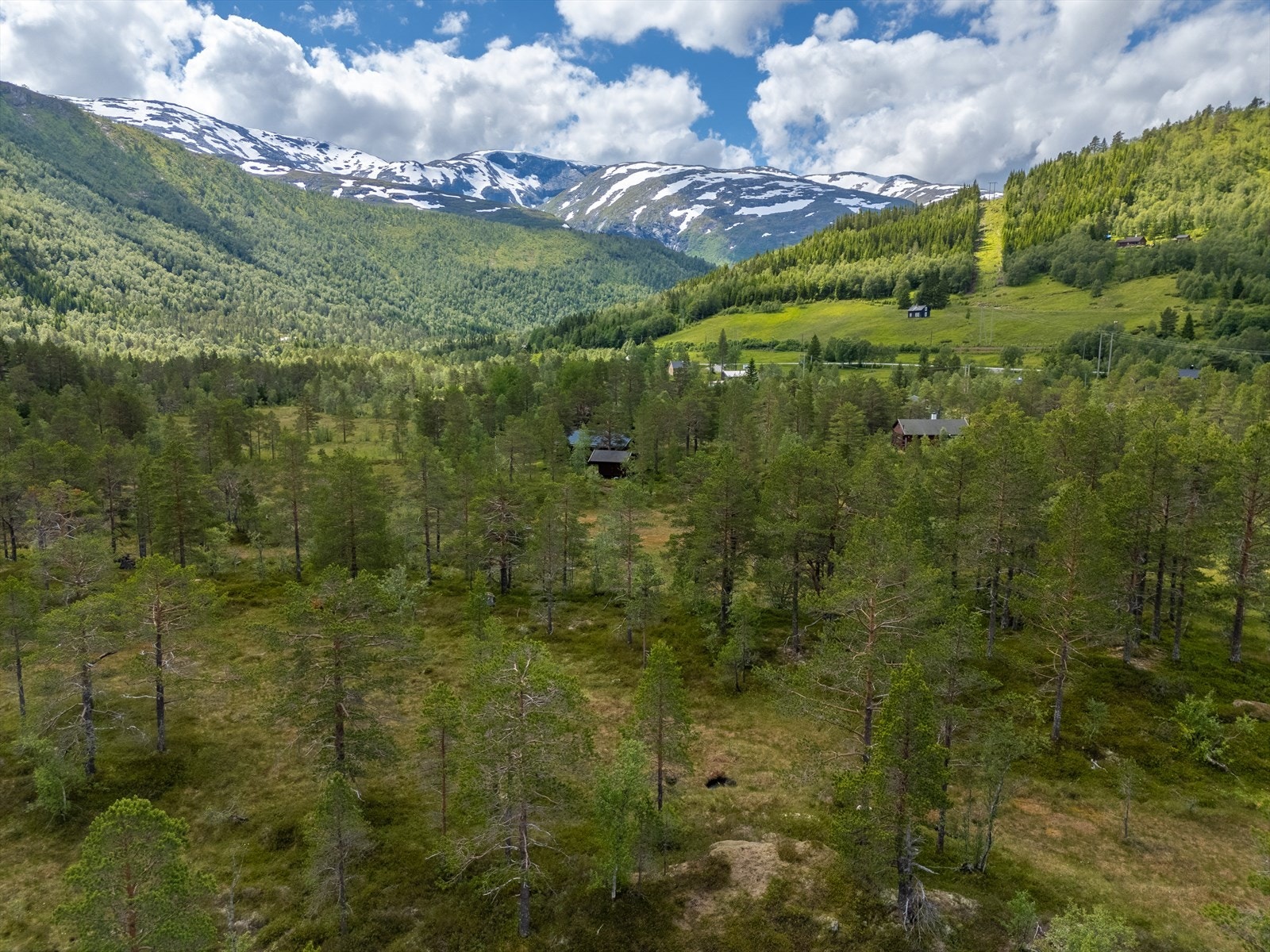 I flotte naturomgivelser ligger Raundalsvegen 2347. Galleribilde