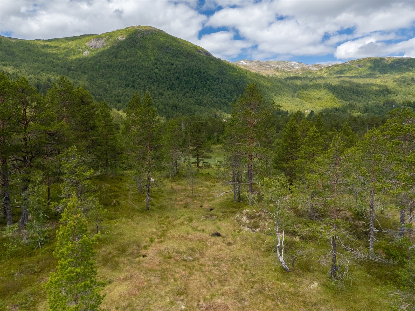 Tomten ligger også flott til med gode solforhold. Galleribilde