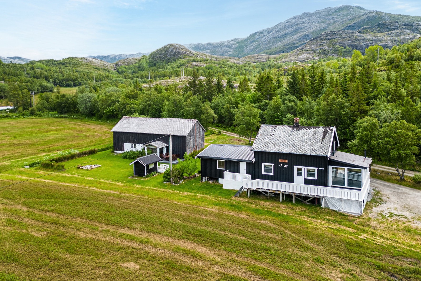 Velkommen til visning av Holmsveien 1967! Galleribilde