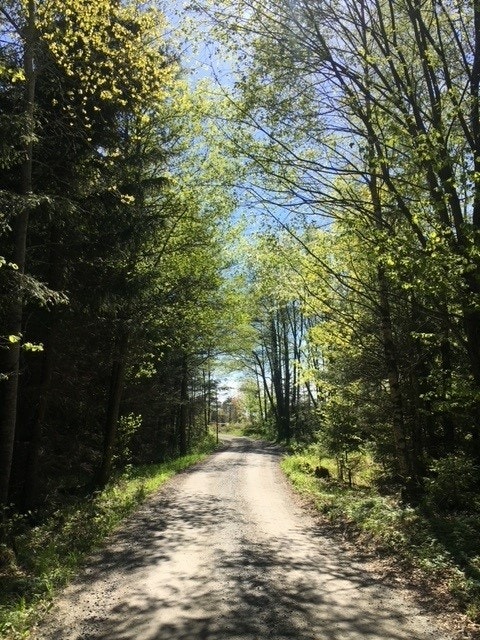 Eidstenveien - kjenn roen senke seg på vei til hytta! Privatbilde Galleribilde