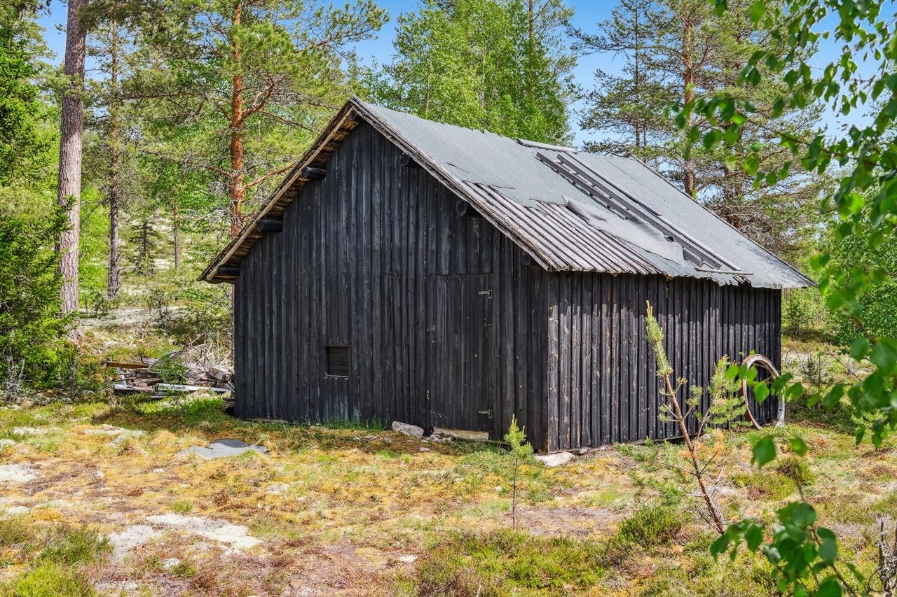 Det gamle sommerfjøset Galleribilde