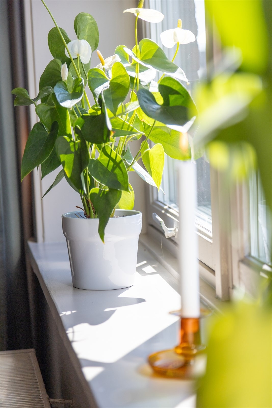 Fyring/varmtvann er inkl i fellesutgiftene. Galleribilde