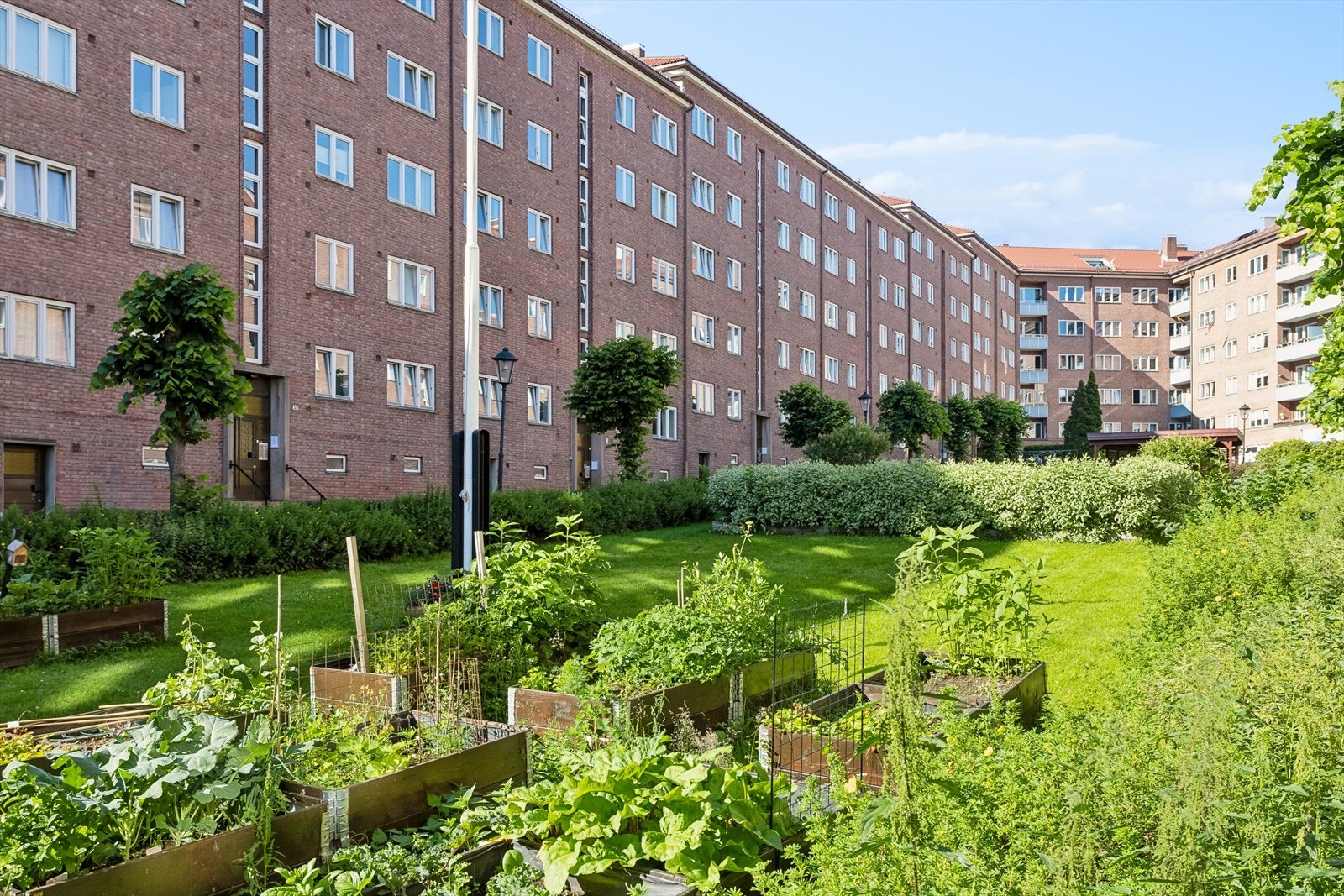 Bakgården oppleves som en privat park for beboerne og blir godt brukt sommerstid til hyggelig stunder og grillmåltid. Det er til info plassert gassgriller i bakgården til beboernes bruk. Galleribilde