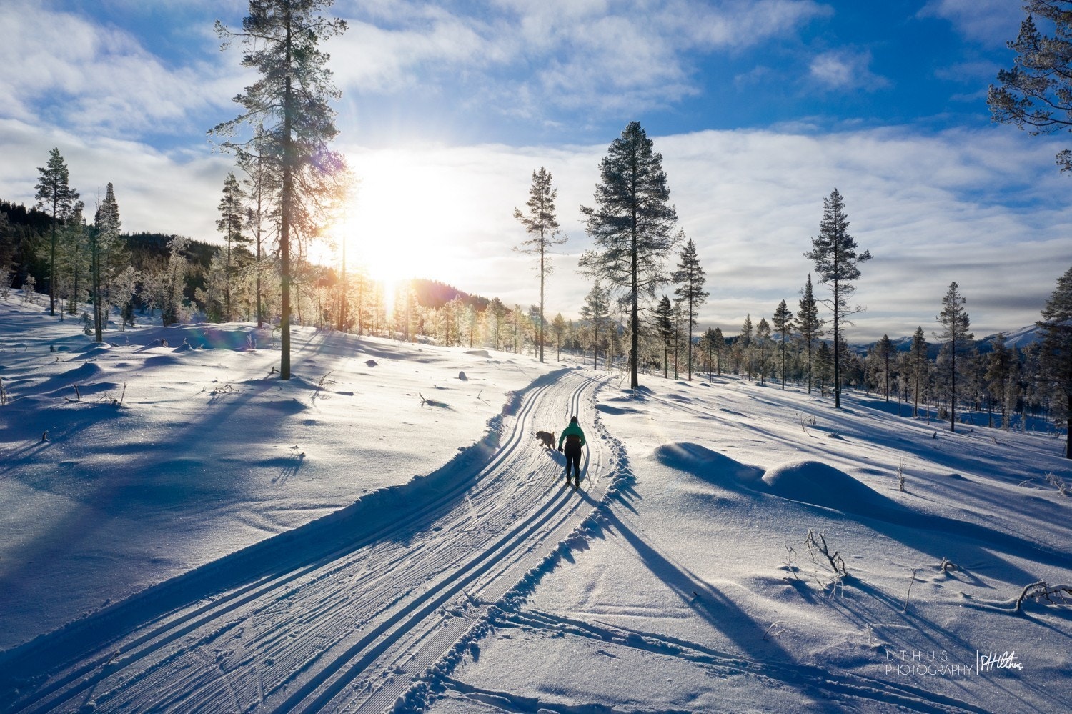 Skiløypa passerer feltet i vakre næromgivelser Galleribilde