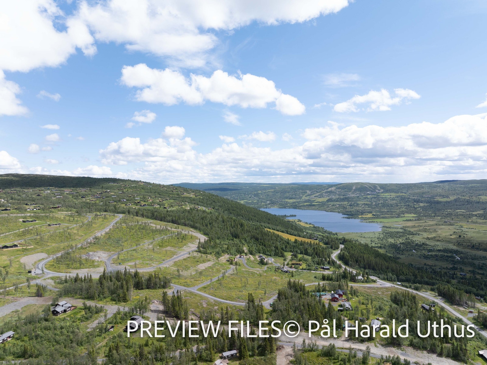 Bilde Pål Harald Uthus Galleribilde