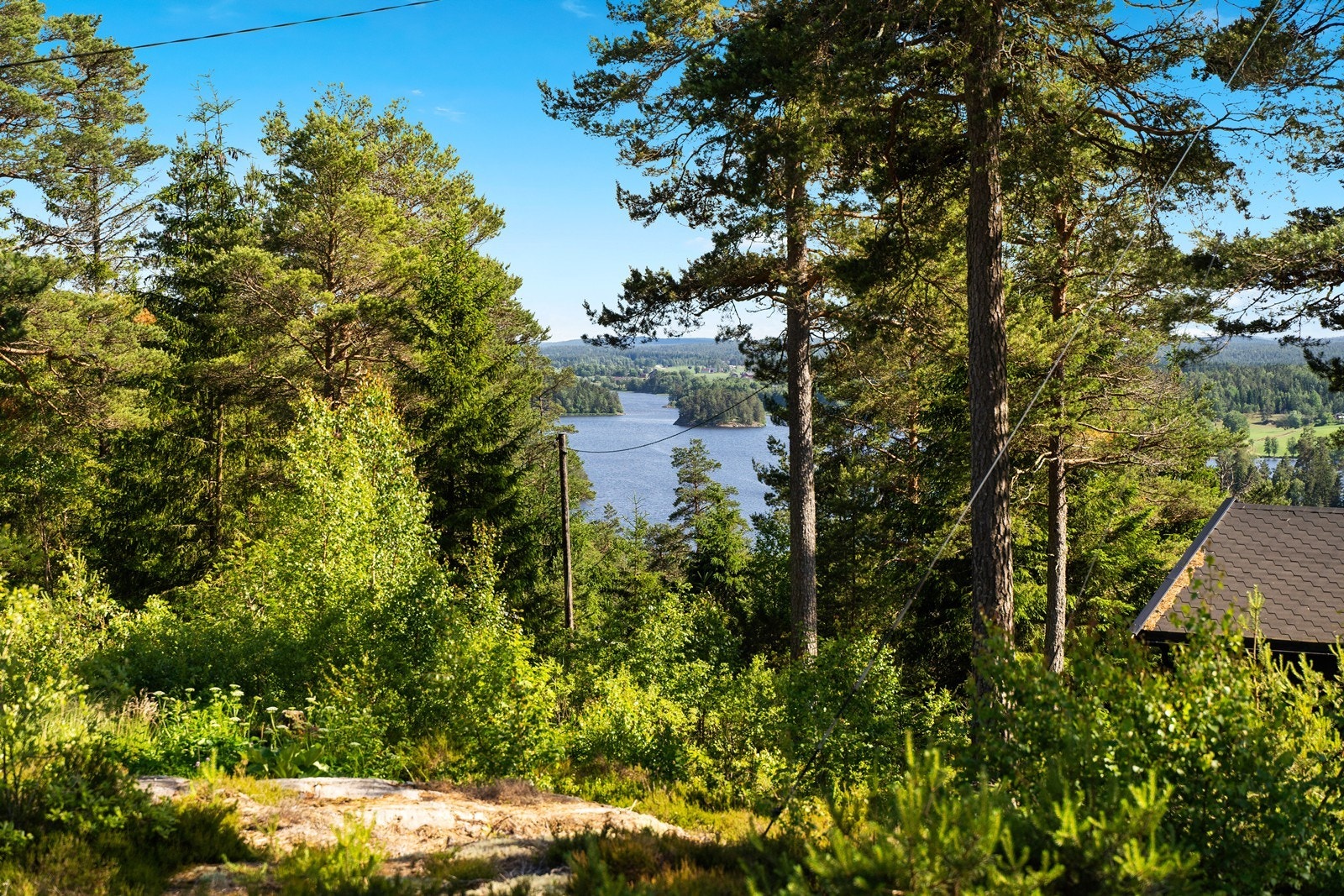 Utsikten fra tomta til Ertevannet. Galleribilde