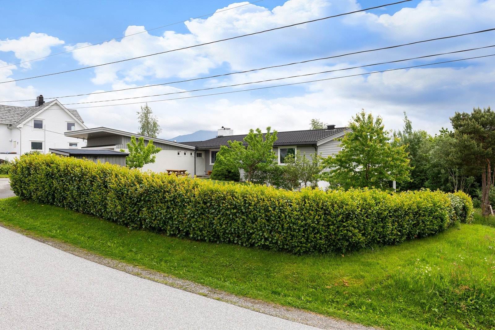 Fasade og tomt dels inngjerdet med hekk Galleribilde
