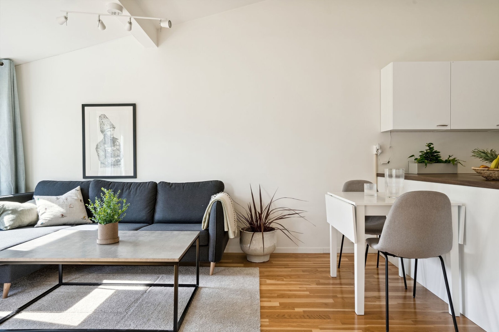 Stue/Kjøkken Galleribilde