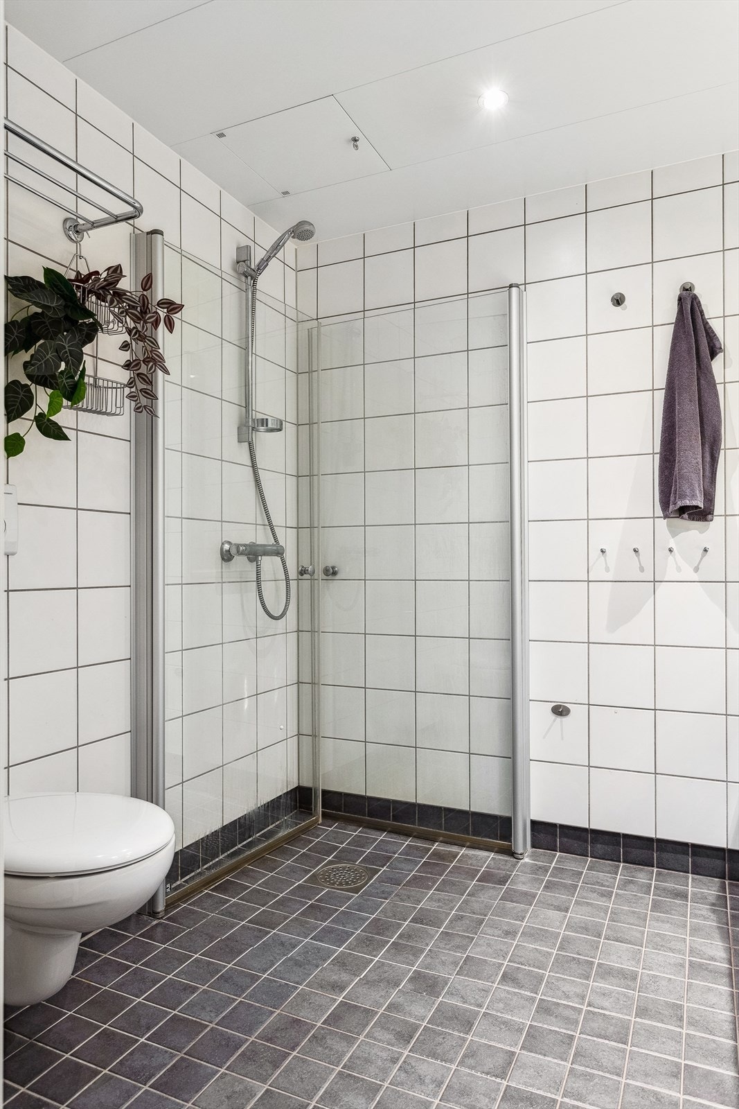 Baderom med vegghengt wc og dusjhjørne. Galleribilde