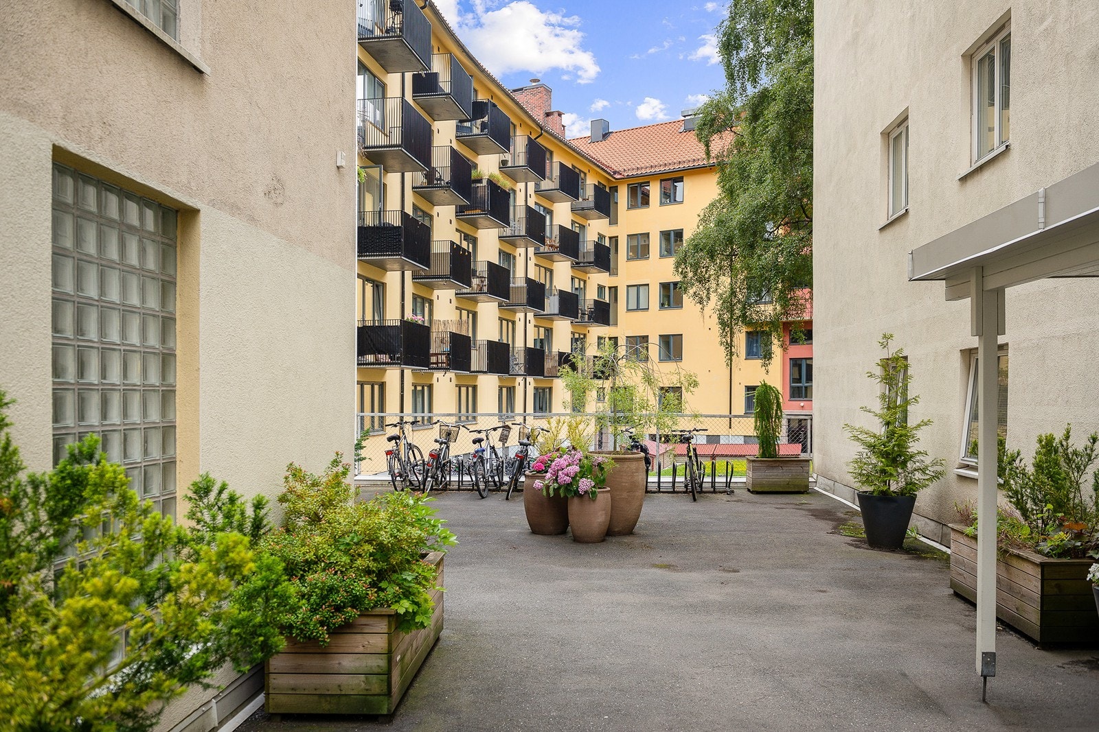I bakgården finner du sykkelstativer for beboerne Galleribilde