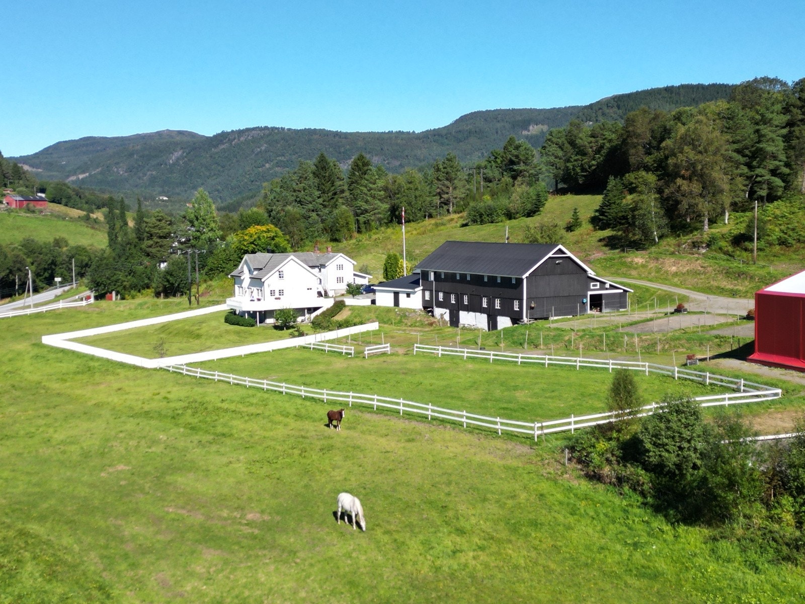 Rikelig med boltringsplass for både to- og firbente! Galleribilde