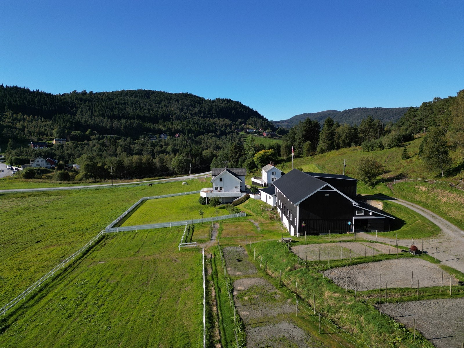 God plass for beite og paddocker Galleribilde