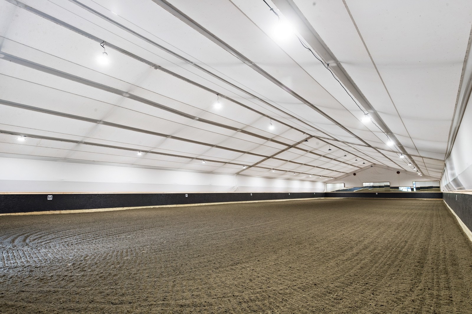 Gode treningsforhold for hest og rytter Galleribilde