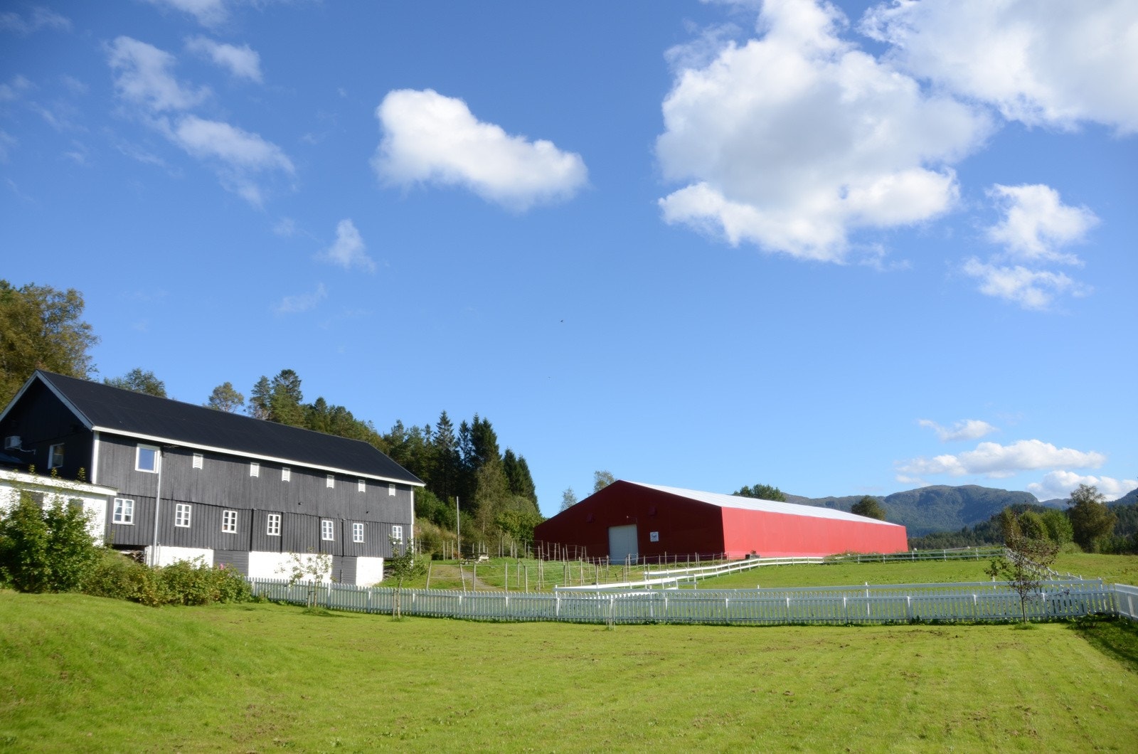 Stallen og ridehallen Galleribilde