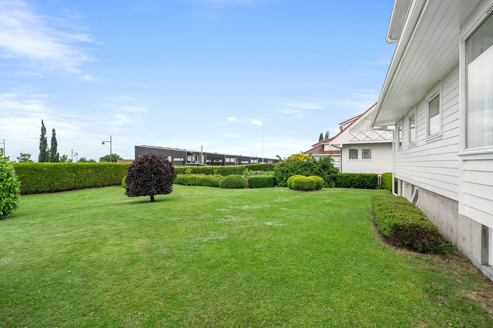 Gode solforhold i hagen. Galleribilde