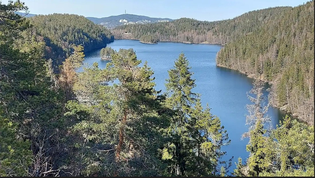 Selgers private bilder - Lutvannet Galleribilde