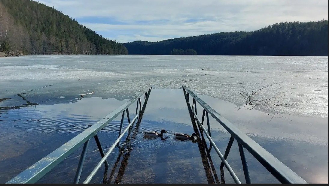 Selgers private bilde - Lutvannet Galleribilde