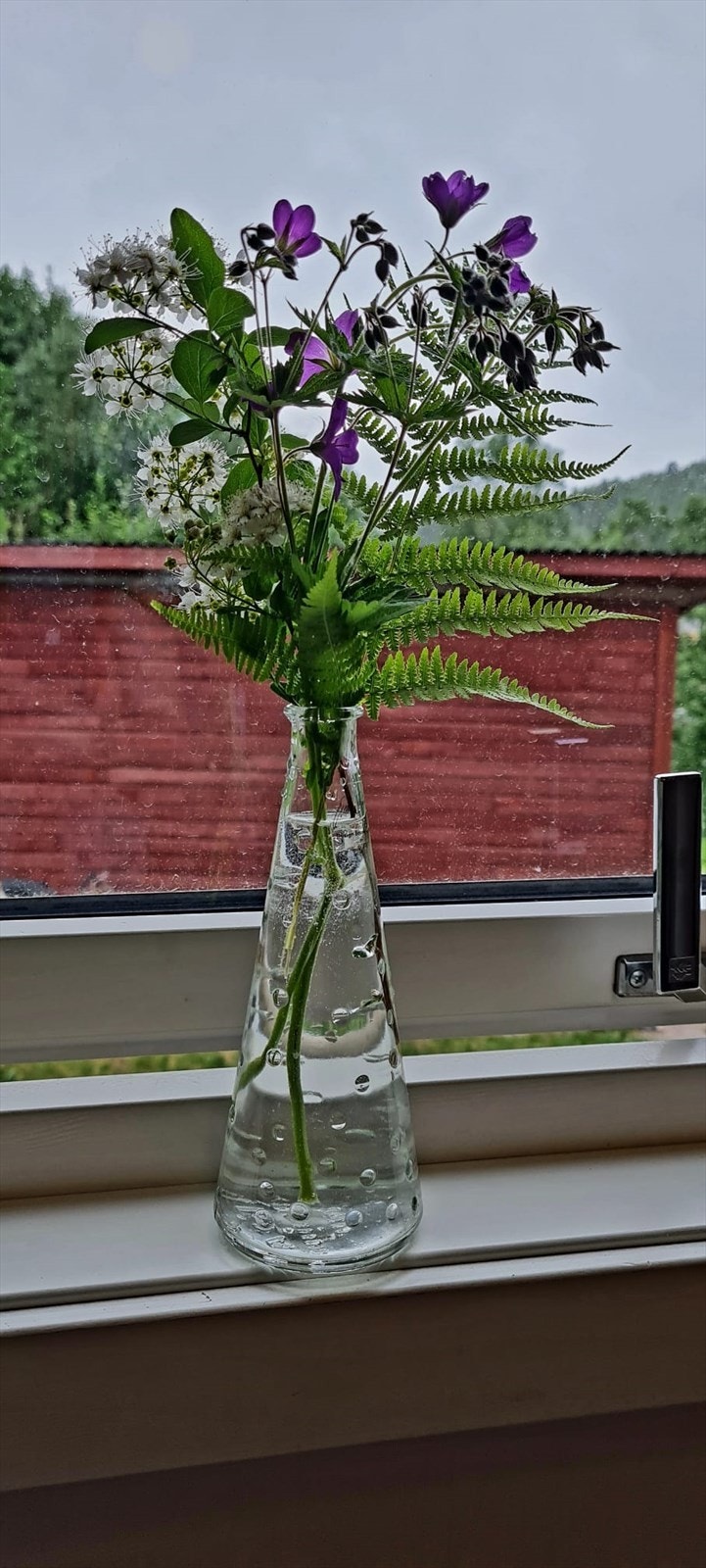 1717428790324.jpg Galleribilde