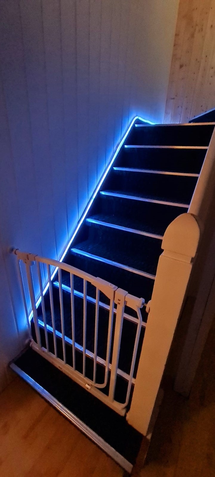 1717428790251.jpg Galleribilde