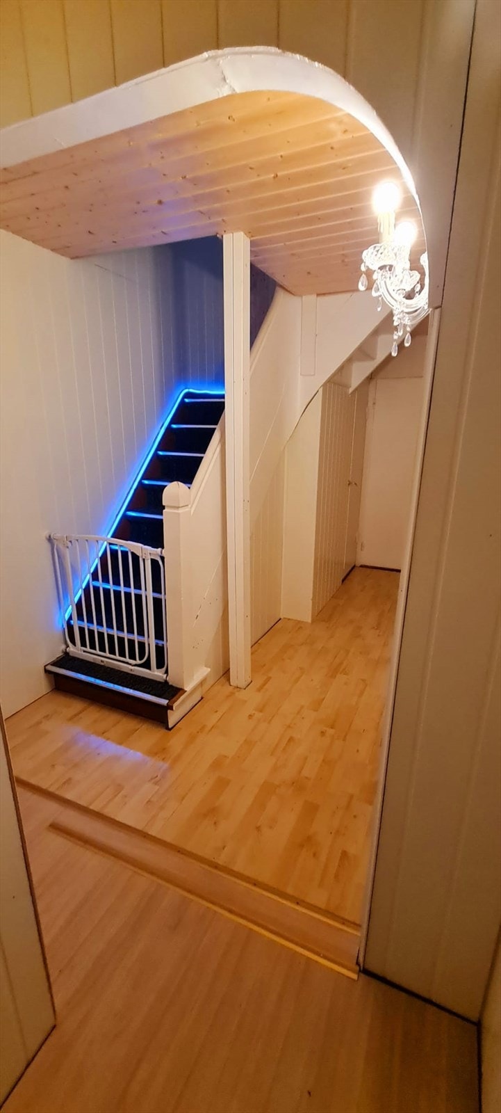 1717428790279.jpg Galleribilde