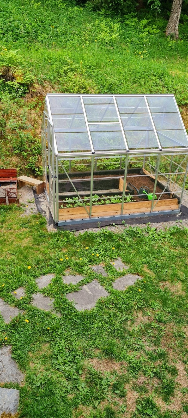 1717428790224.jpg Galleribilde