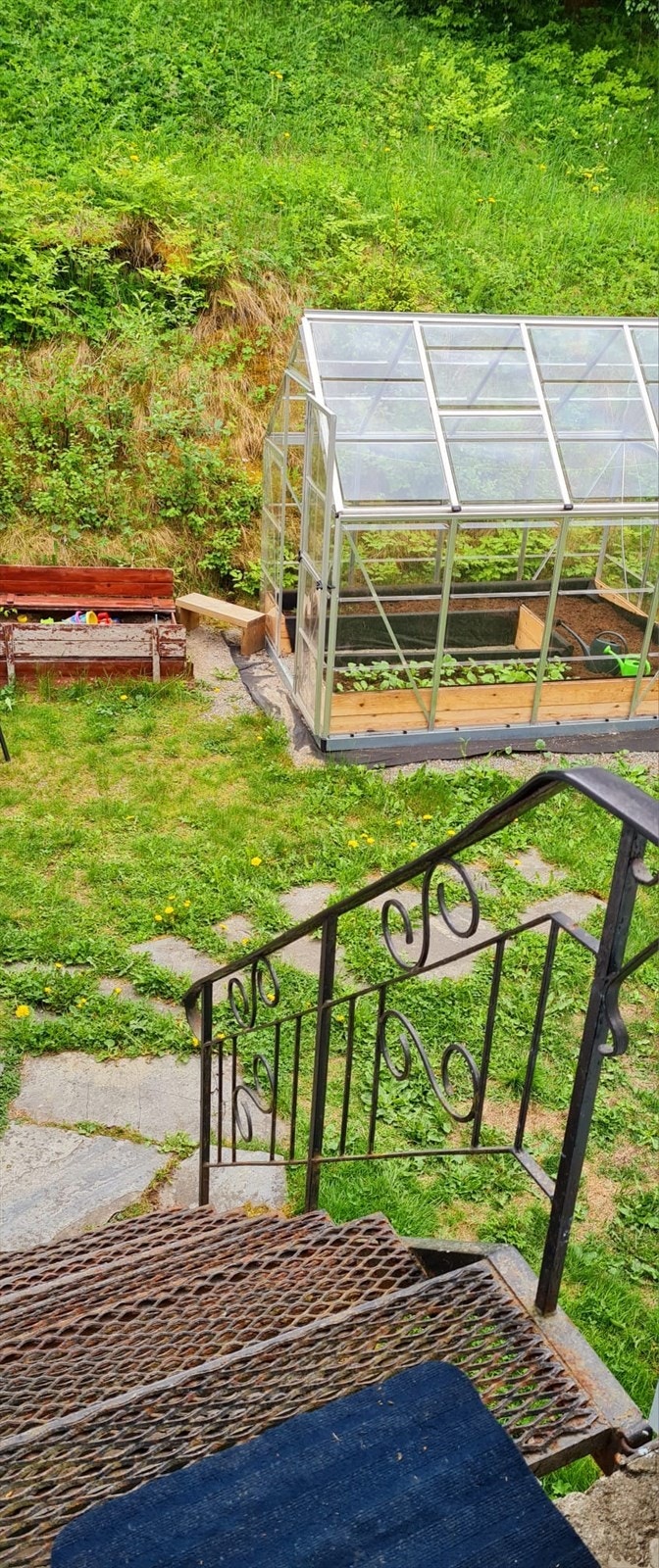 1717428790221.jpg Galleribilde