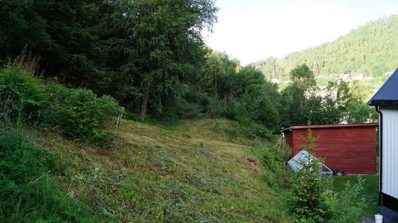 DSC02611.JPG Galleribilde