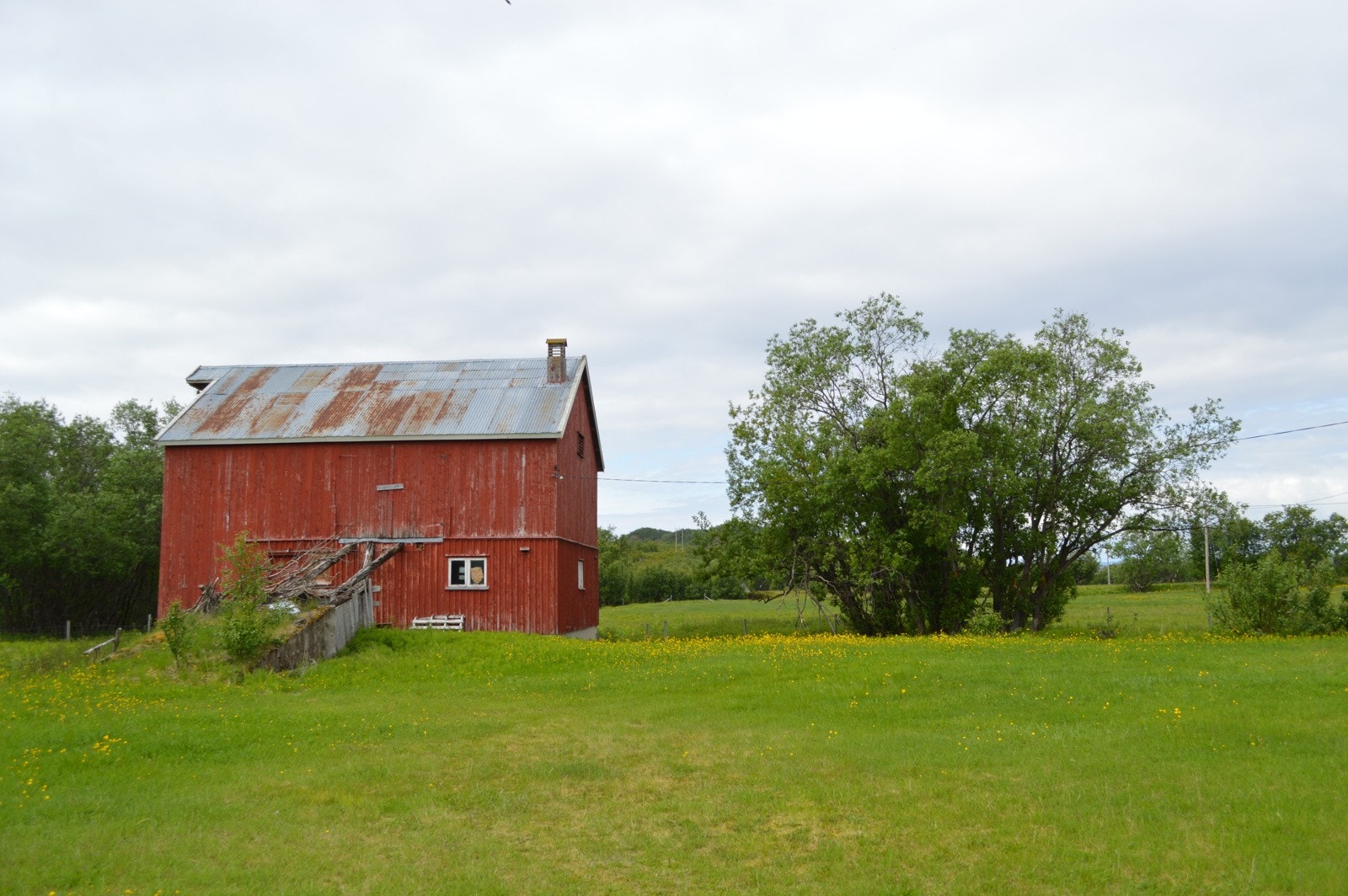 Fjøs Galleribilde