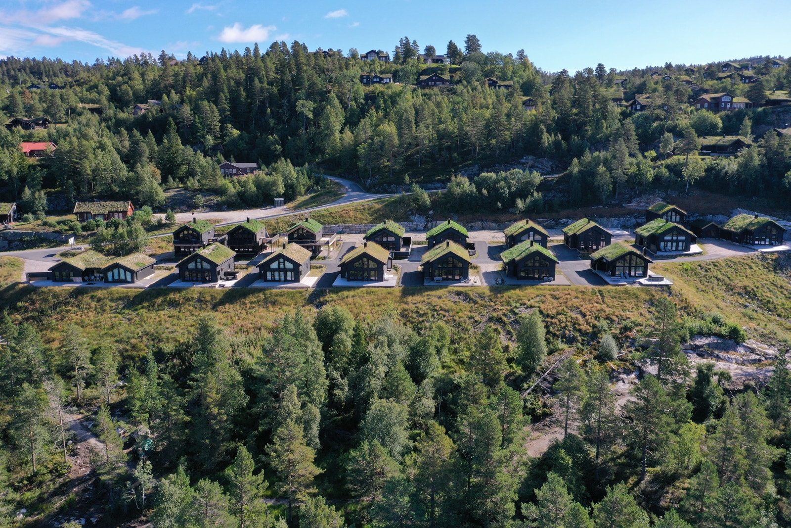 Bortelid Fjellgrend Galleribilde