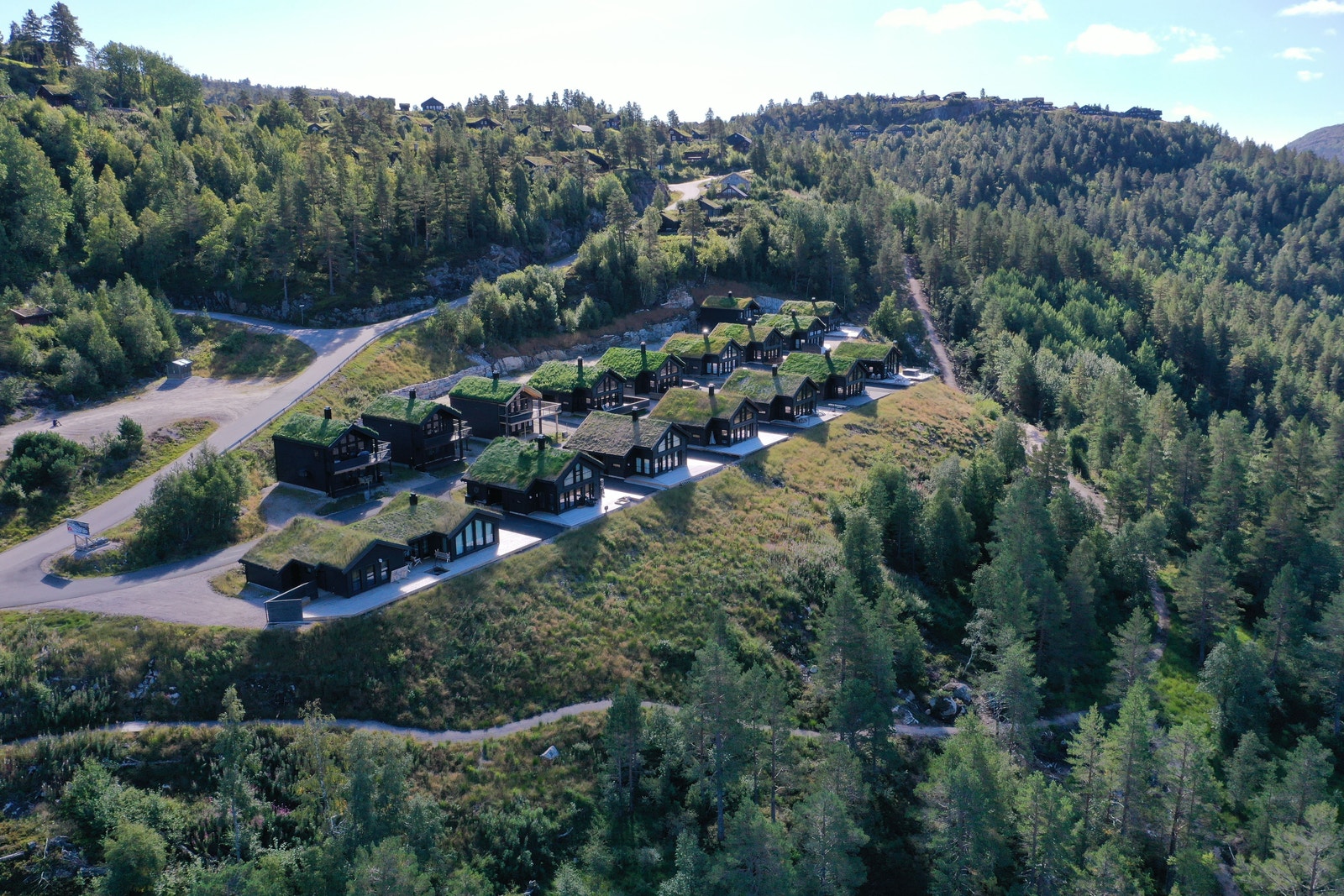 Bortelid Fjellgrend Galleribilde