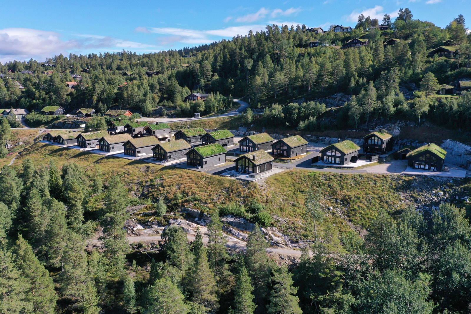 Bortelid Fjellgrend Galleribilde