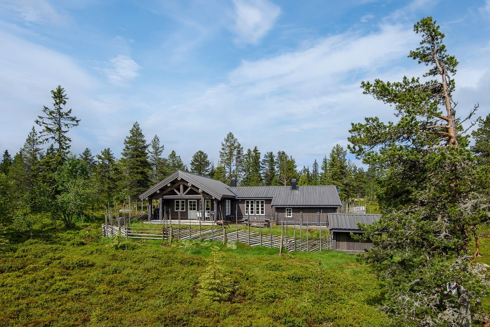 Velkommen til Bjønnåsen 315! Galleribilde