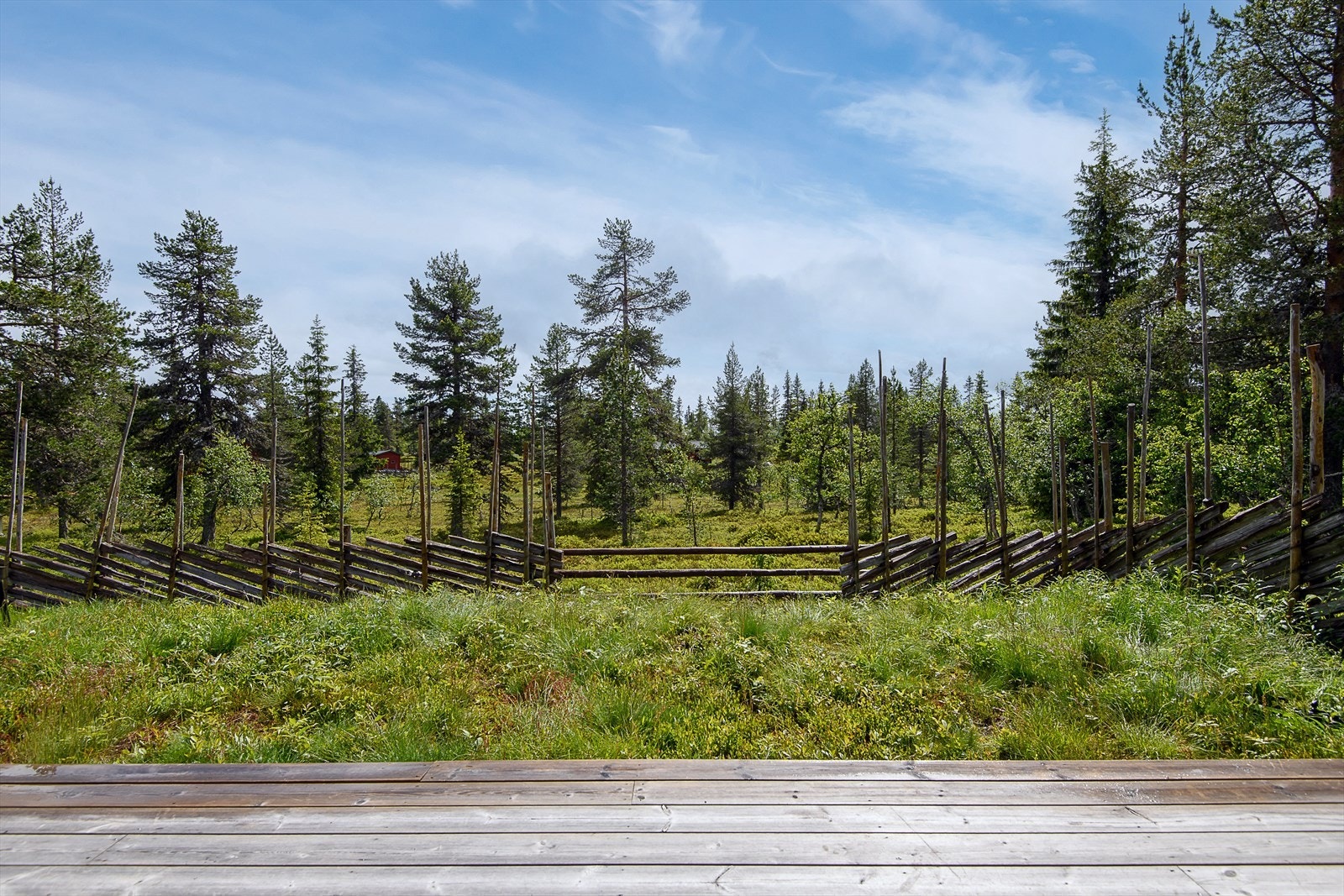 Hytta ligger tett på naturen. Meget familivennlige omgivelser og et perfekt område å utforske for aktive og nysgjerrige barn. Galleribilde