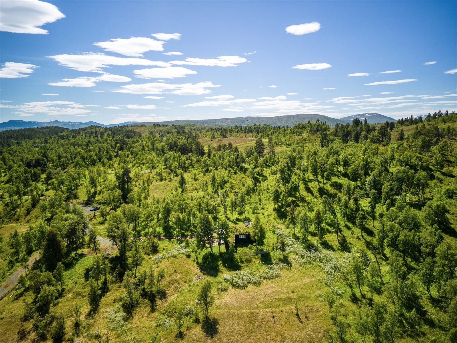 Dronefoto Galleribilde