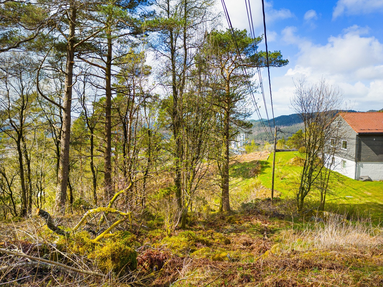 Adkomsten blir her. Galleribilde