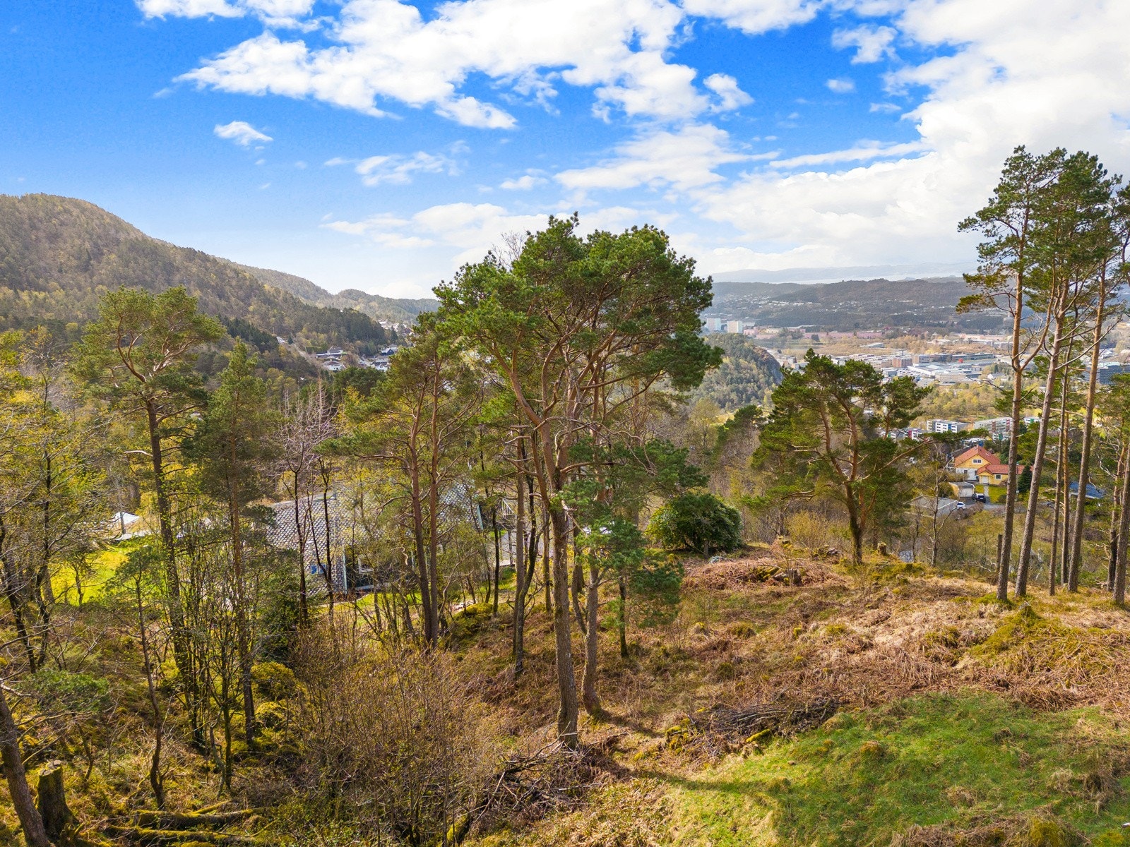 Sett fra toppen og nedover mot Fyllingsdalen Galleribilde